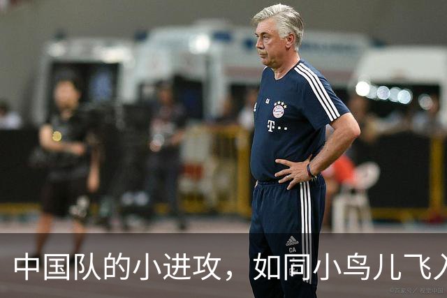 中国队的小进攻，如同小鸟儿飞入蓝天，结果却差点栽树上